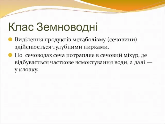 Клас Земноводні Виділення продуктів метаболізму (сечовини) здійснюється тулубними нирками. По сечоводах