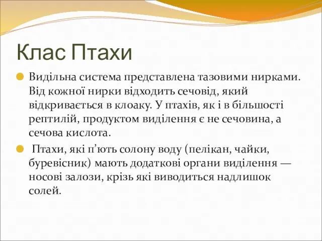 Клас Птахи Видільна система представлена тазовими нирками. Від кожної нирки відходить