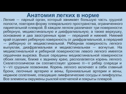 Анатомия легких в норме Легкие — парный орган, который занимает большую