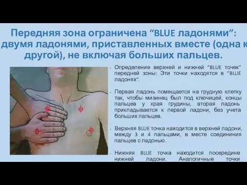 Передняя зона ограничена “BLUE ладонями”: двумя ладонями, приставленных вместе (одна к