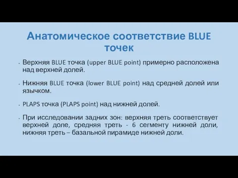 Анатомическое соответствие BLUE точек Верхняя BLUE точка (upper BLUE point) примерно