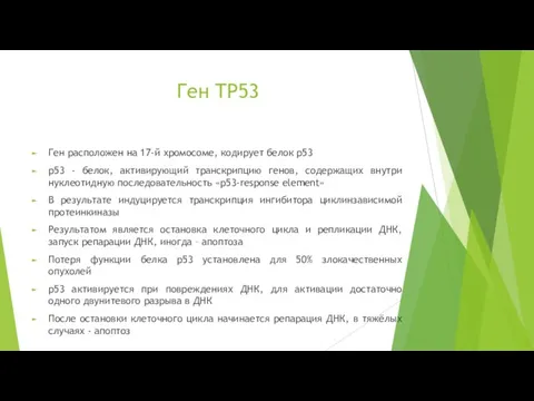 Ген TP53 Ген расположен на 17-й хромосоме, кодирует белок p53 p53