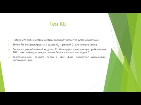 Ген Rb Потеря его активности в клетках вызывает развитие ретинобластомы Белок