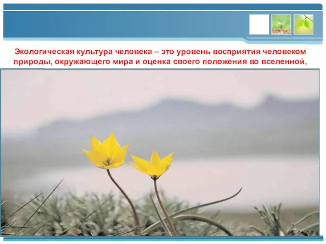 Экологическая культура человека – это уровень восприятия человеком природы, окружающего мира