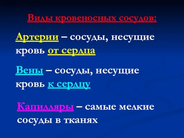 Виды кровеносных сосудов: Артерии – сосуды, несущие кровь от сердца Вены