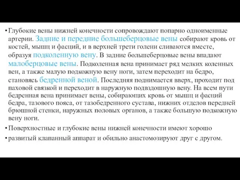 Глубокие вены нижней конечности сопровождают попарно одноименные артерии. Задние и передние