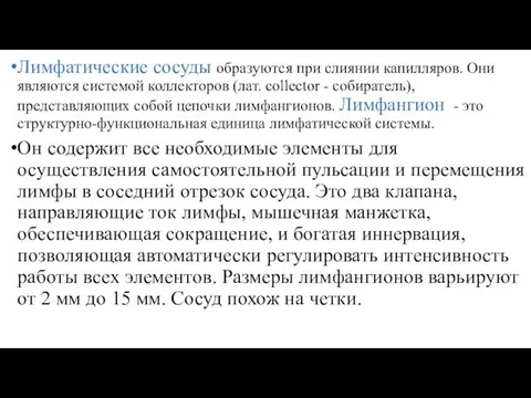 Лимфатические сосуды образуются при слиянии капилляров. Они являются системой коллекторов (лат.