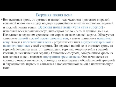 Верхняя полая вена Вся венозная кровь от органов и тканей тела