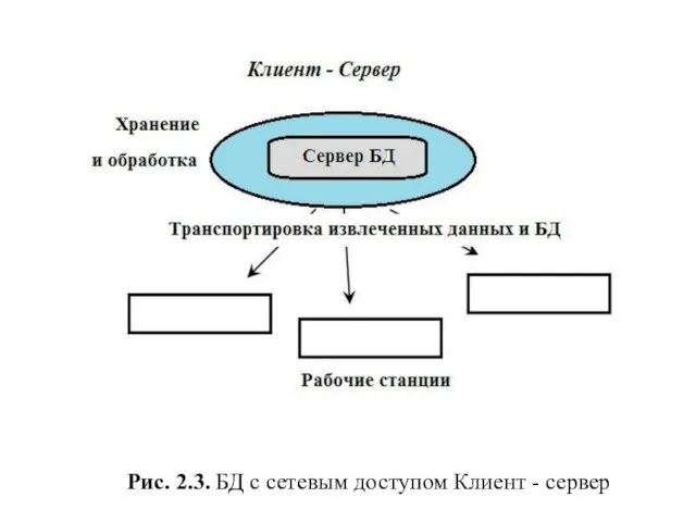 Рис. 2.3. БД с сетевым доступом Клиент - сервер