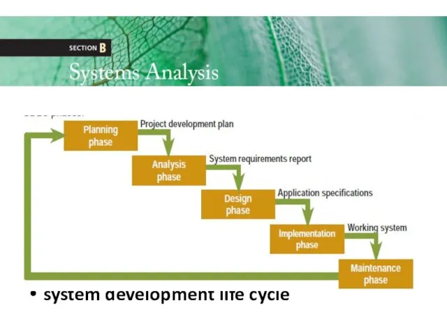 system development life cycle