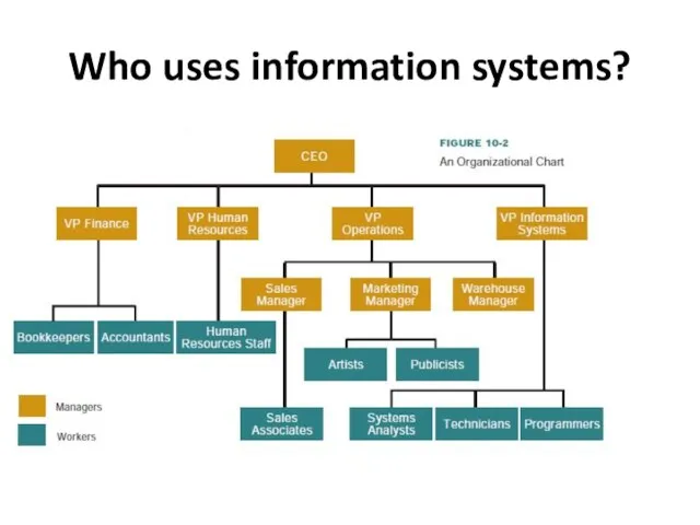 Who uses information systems?