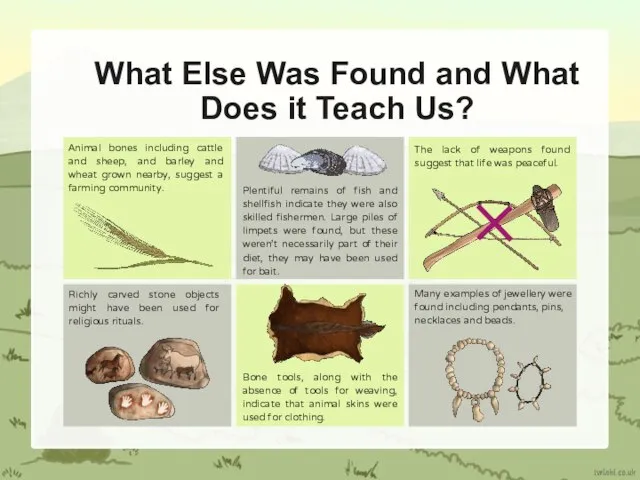 What Else Was Found and What Does it Teach Us? Animal