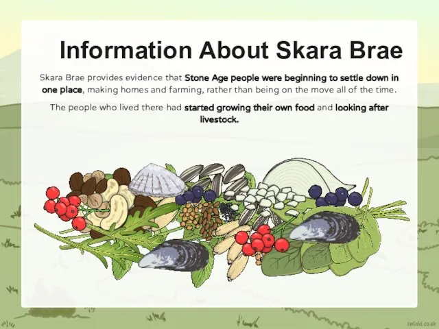 Information About Skara Brae Skara Brae provides evidence that Stone Age