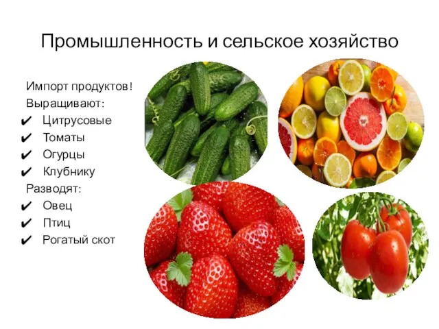 Промышленность и сельское хозяйство Импорт продуктов! Выращивают: Цитрусовые Томаты Огурцы Клубнику Разводят: Овец Птиц Рогатый скот