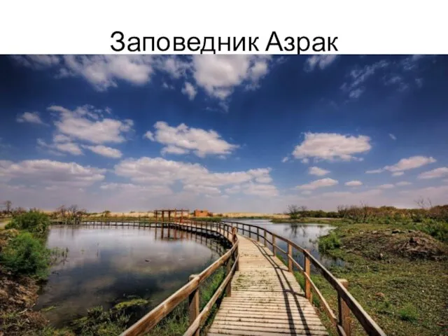 Заповедник Азрак