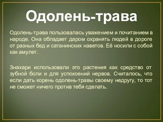 Одолень-трава Одолень-трава пользовалась уважением и почитанием в народе. Она обладает даром