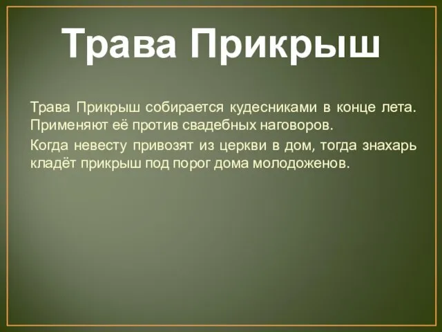 Трава Прикрыш Трава Прикрыш собирается кудесниками в конце лета. Применяют её