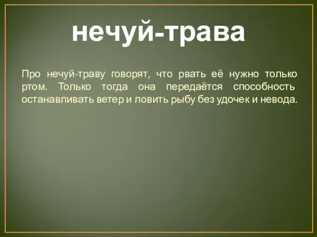 нечуй-трава Про нечуй-траву говорят, что рвать её нужно только ртом. Только