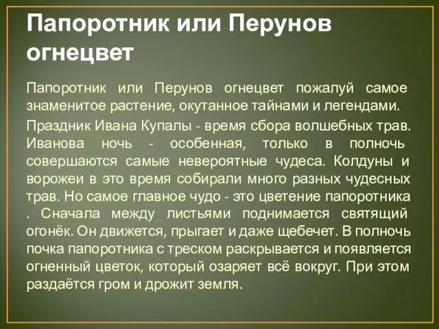 Папоротник или Перунов огнецвет Папоротник или Перунов огнецвет пожалуй самое знаменитое