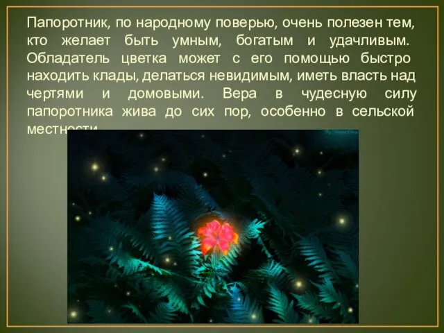 Папоротник, по народному поверью, очень полезен тем, кто желает быть умным,