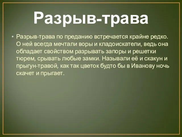 Разрыв-трава Разрыв-трава по преданию встречается крайне редко. О ней всегда мечтали