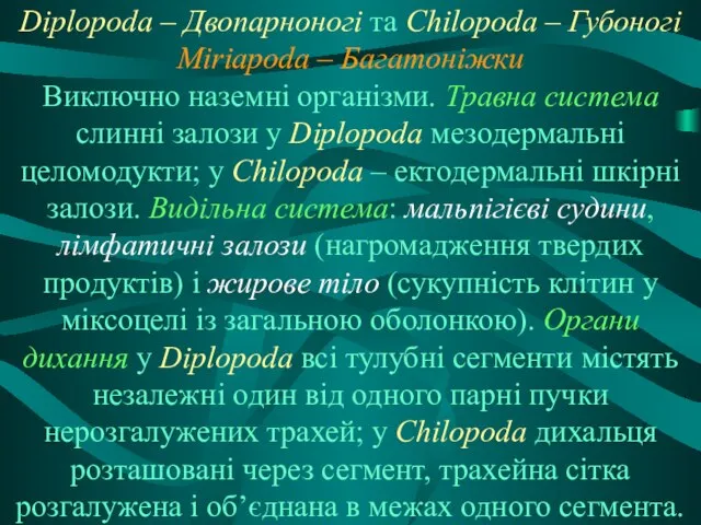 Diplopoda – Двопарноногі та Chilopoda – Губоногі Miriapoda – Багатоніжки Виключно