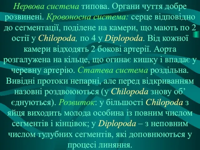 Нервова система типова. Органи чуття добре розвинені. Кровоносна система: серце відповідно