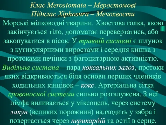 Клас Merostomata – Меростомові Підклас Xiphosura – Мечохвости Морські мілководні тварини.