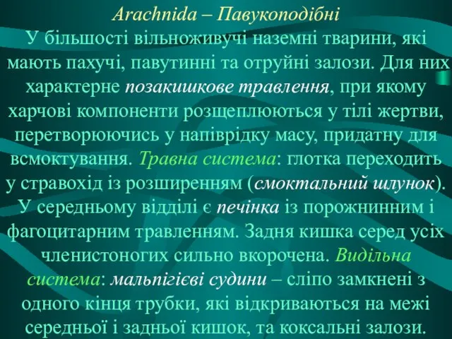 Arachnida – Павукоподібні У більшості вільноживучі наземні тварини, які мають пахучі,