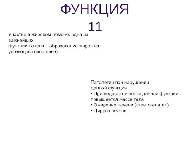 ФУНКЦИЯ 11 Участие в жировом обмене: одна из важнейших функций печени