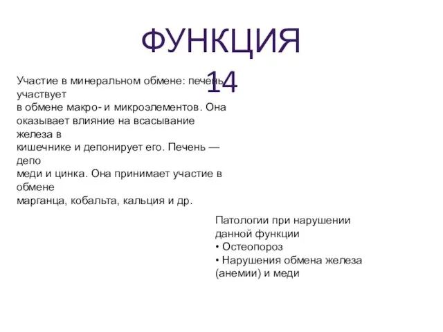 Участие в минеральном обмене: печень участвует в обмене макро- и микроэлементов.