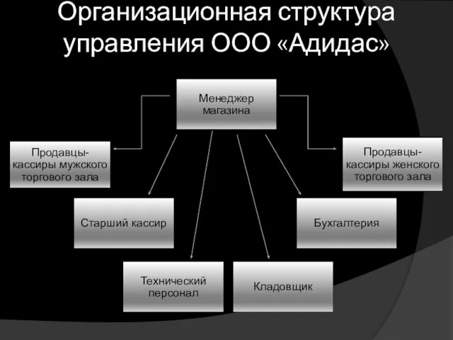 Организационная структура управления ООО «Адидас»