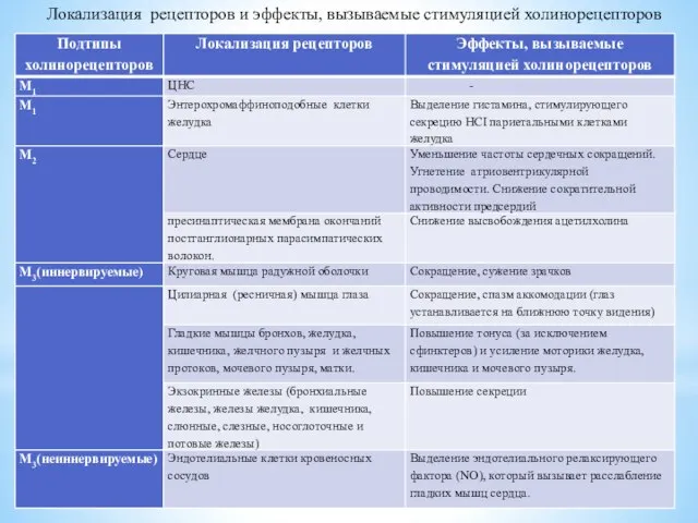 Локализация рецепторов и эффекты, вызываемые стимуляцией холинорецепторов