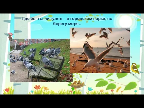 Где бы ты ни гулял – в городском парке, по берегу моря…