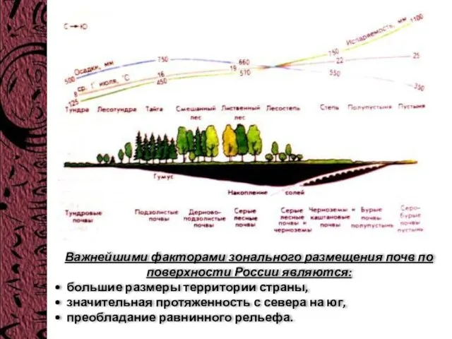 Важнейшими факторами зонального размещения почв по поверхности России являются: большие размеры