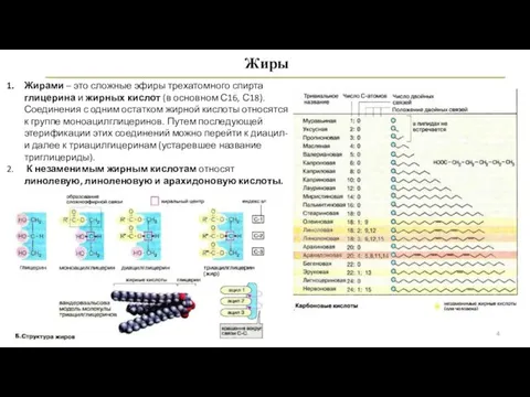 Жиры Жирами – это сложные эфиры трехатомного спирта глицерина и жирных