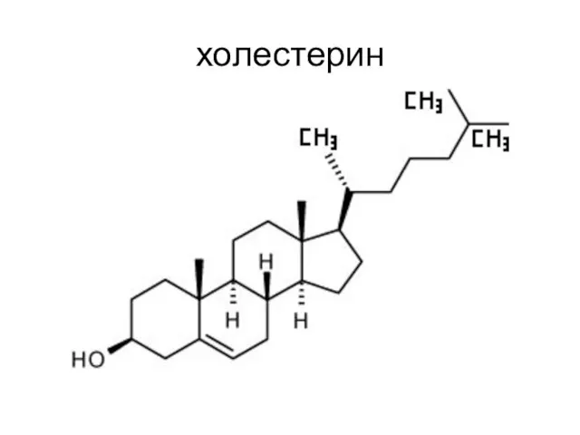 холестерин