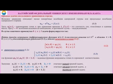 БАЛТИЙСКИЙ ФЕДЕРАЛЬНЫЙ УНИВЕРСИТЕТ ИМЕНИ ИММАНУИЛА КАНТА