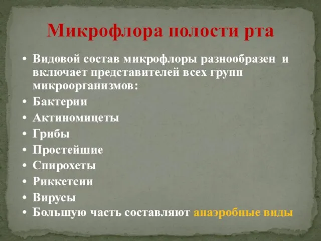 Микрофлора полости рта Видовой состав микрофлоры разнообразен и включает представителей всех