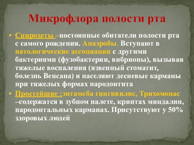 Микрофлора полости рта Спирохеты –постоянные обитатели полости рта с самого рождения.