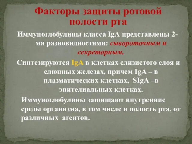 Факторы защиты ротовой полости рта Иммуноглобулины класса IgА представлены 2-мя разновидностями: