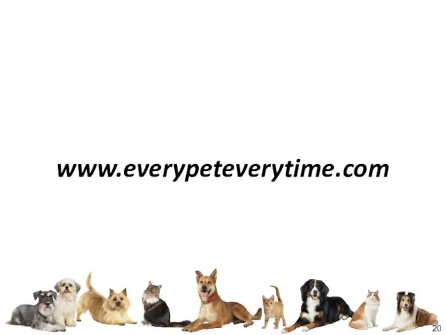 www.everypeteverytime.com