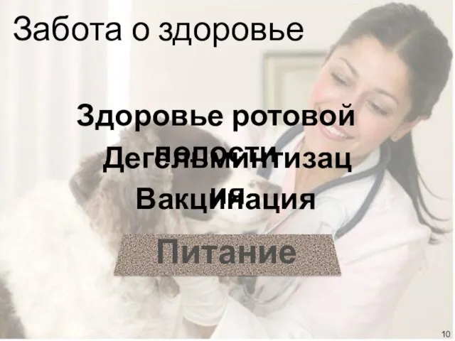 Вакцинация Дегельминтизация Здоровье ротовой полости Забота о здоровье Питание