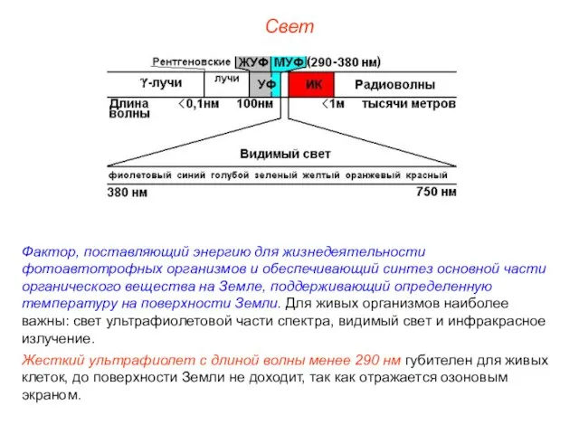 Свет Фактор, поставляющий энергию для жизнедеятельности фотоавтотрофных организмов и обеспечивающий синтез