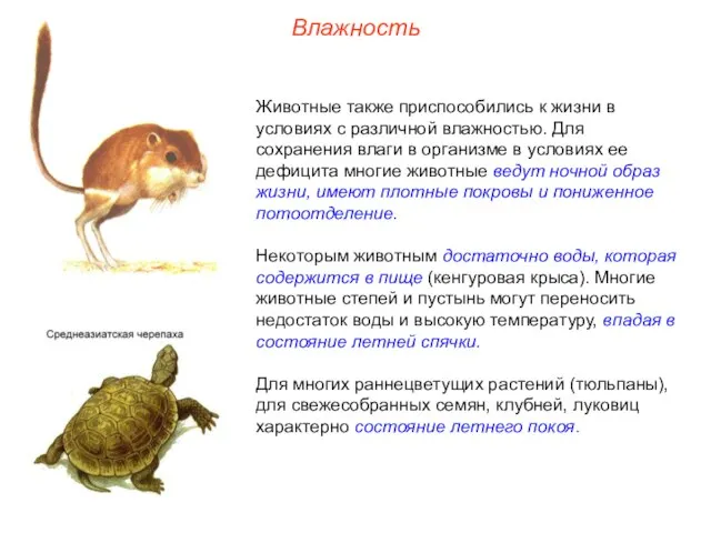 Влажность Животные также приспособились к жизни в условиях с различной влажностью.