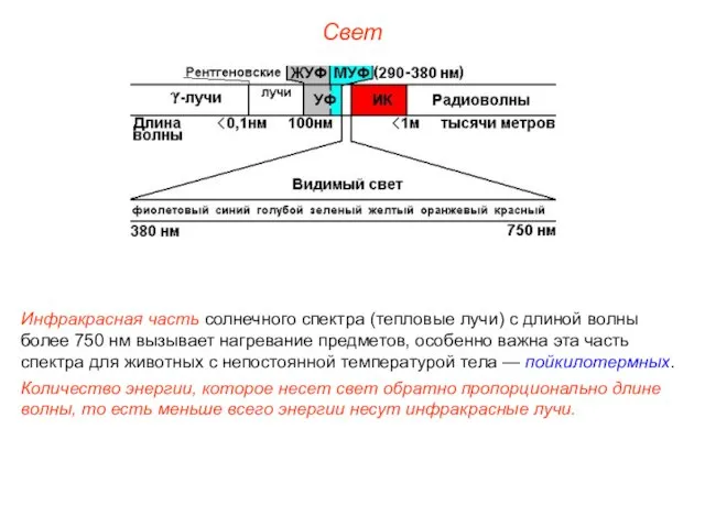 Свет Инфракрасная часть солнечного спектра (тепловые лучи) с длиной волны более