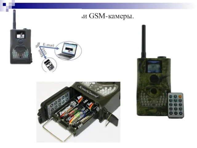 Охотничьи GSM-камеры.