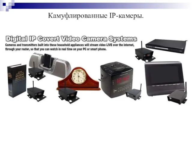 Камуфлированные IP-камеры.