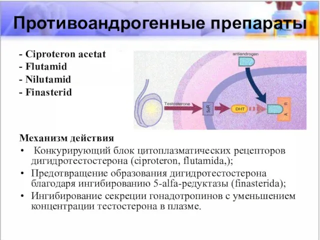 Противоандрогенные препараты - Ciproteron acetat - Flutamid - Nilutamid - Finasterid
