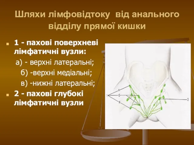 Шляхи лімфовідтоку від анального відділу прямої кишки 1 - пахові поверхневі